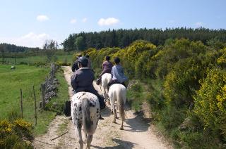 Horseback riding