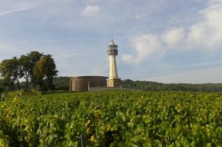 Visit of the Champagne vineyard